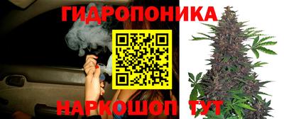 винт Нарткала