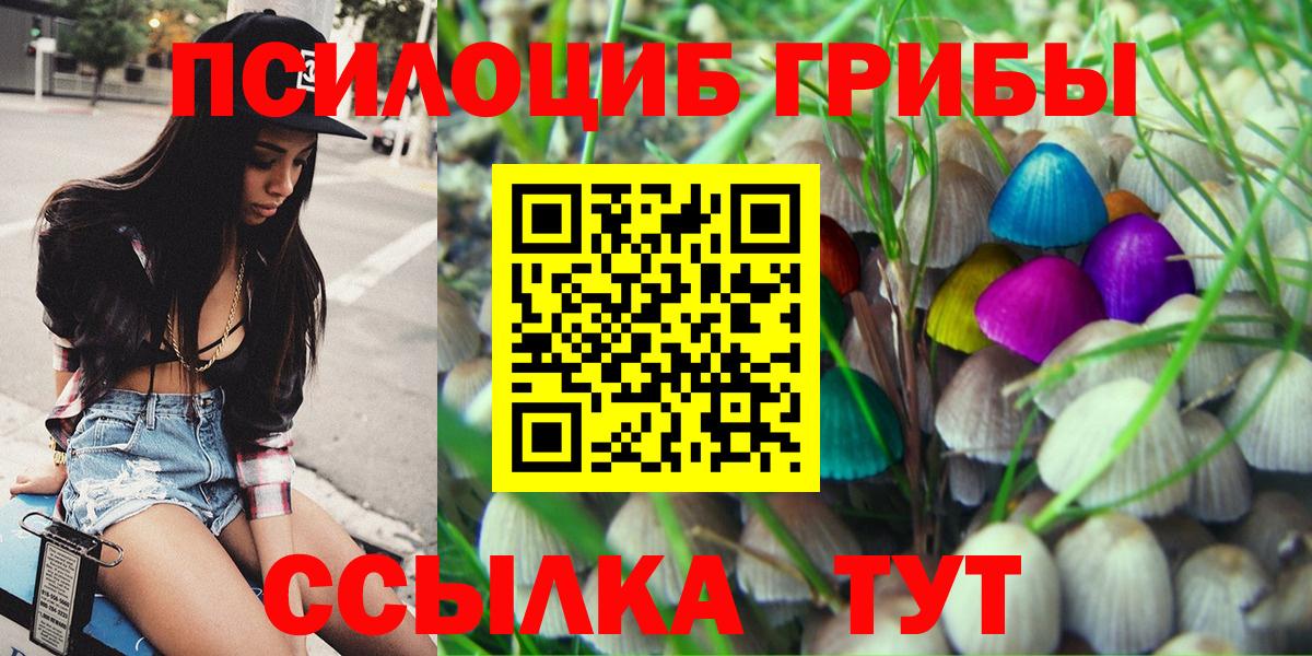 Алексеевка  закладки  Псилоцибиновые грибы Psilocybine cubensis  Вход с VPN  Галлюциногенные грибы Magic Shrooms 